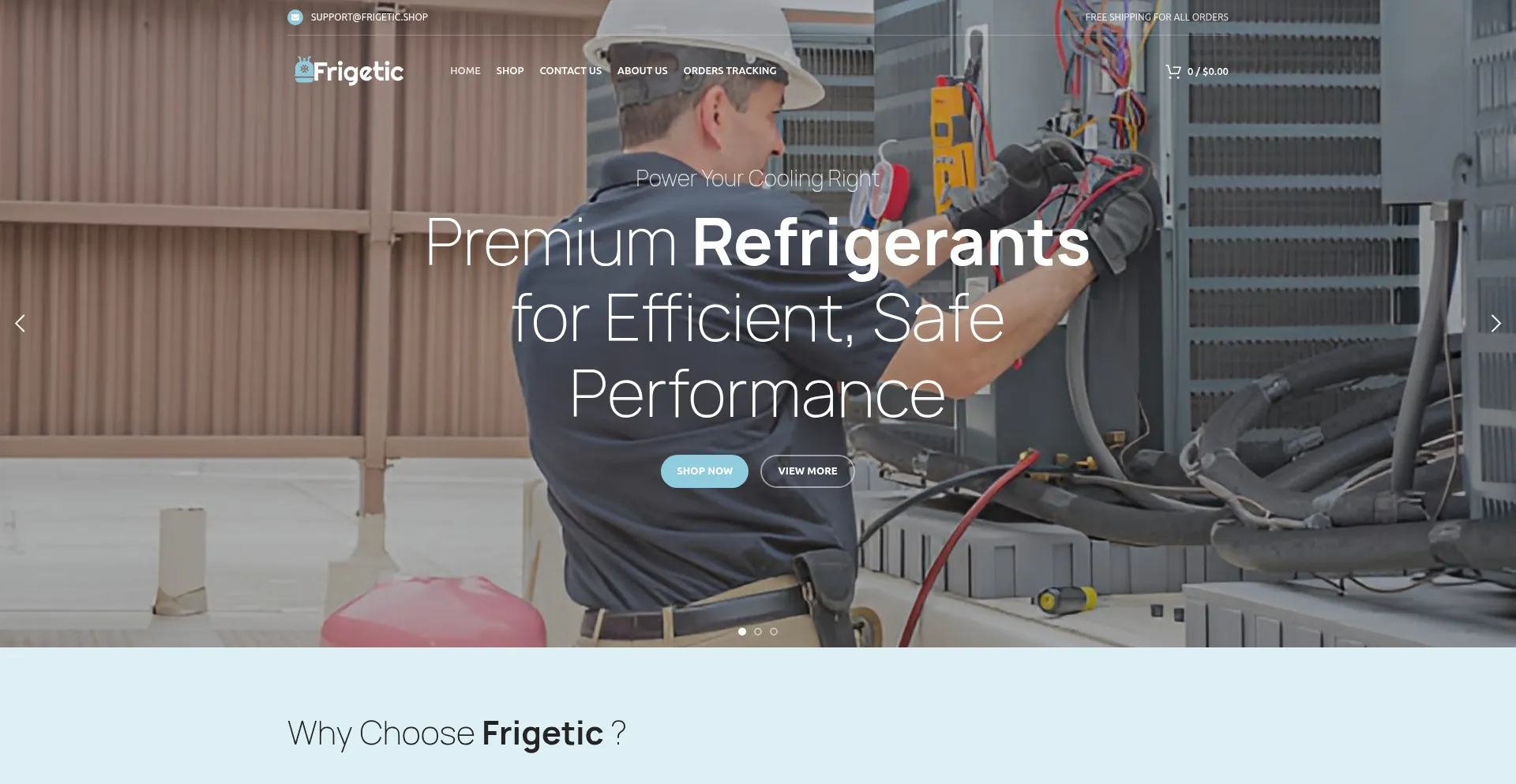 Website screenshot of Frigetic.shop