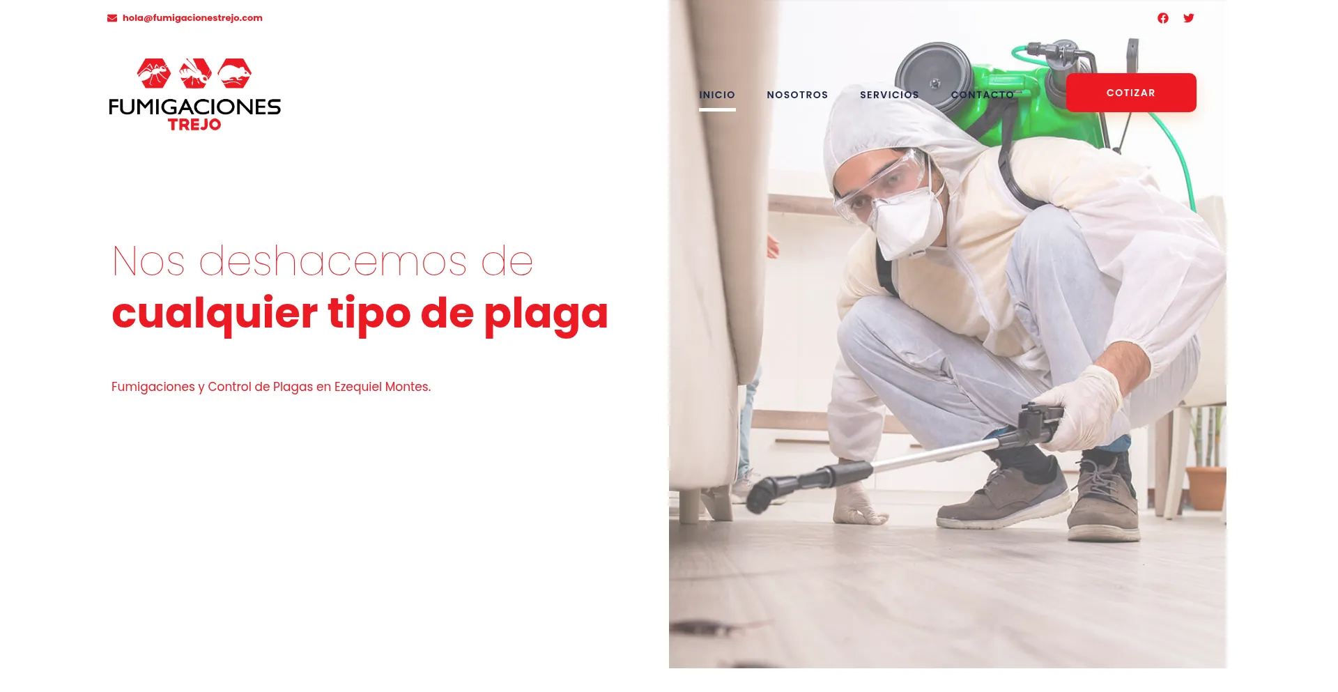 Fumigacionestrejo.com
