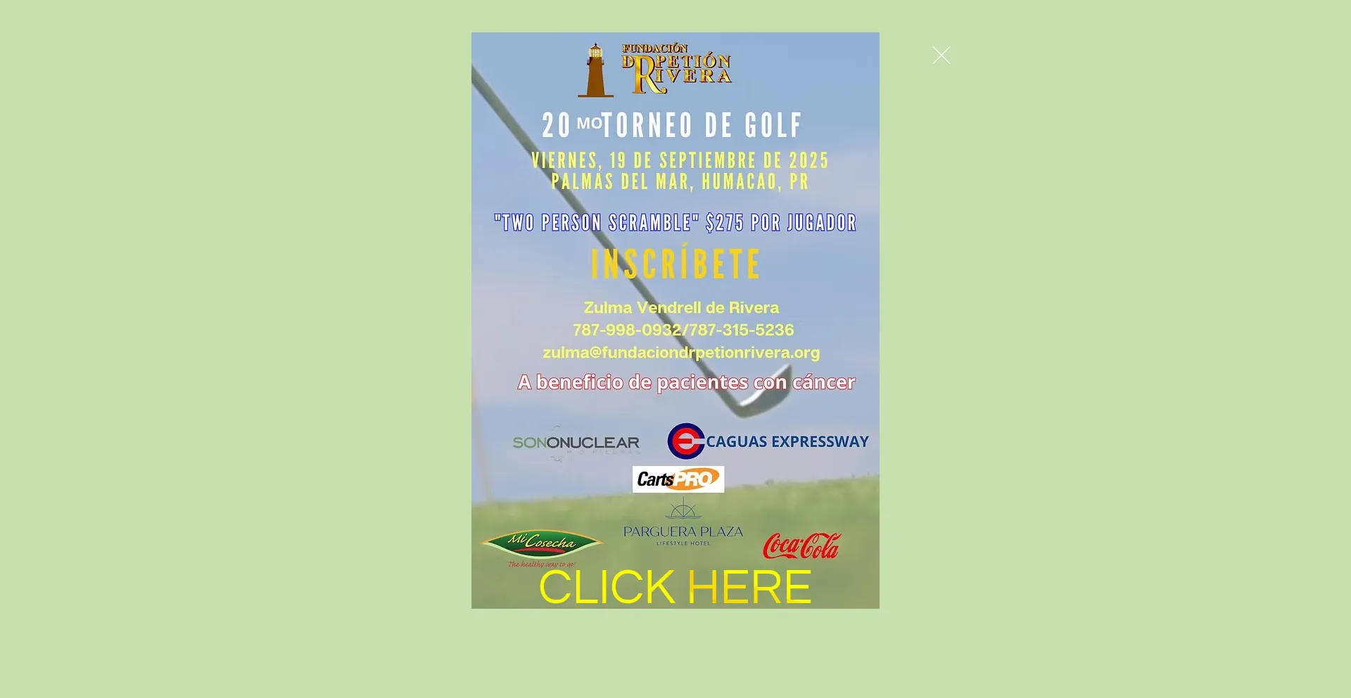 Fundaciondrpetionrivera.org est-il Sûr et Fiable ?