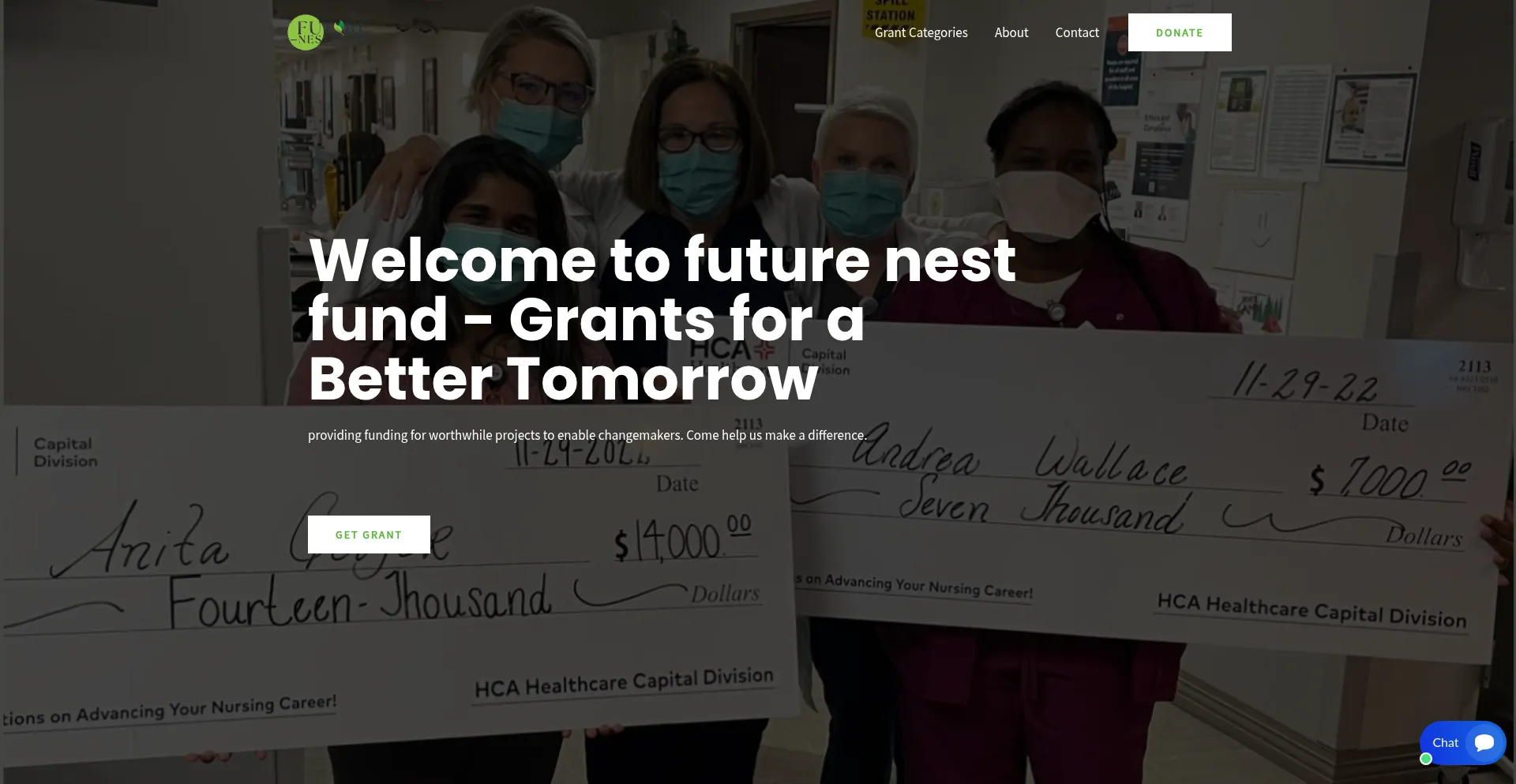 Website screenshot of Futurenestfund.org