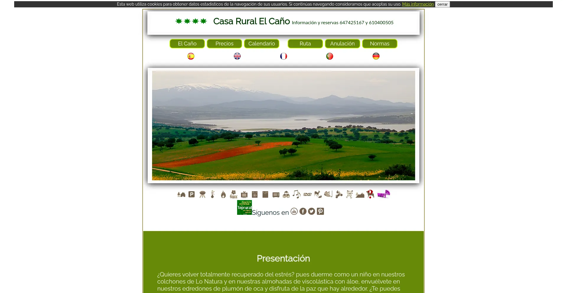Website screenshot of Galinduste.com