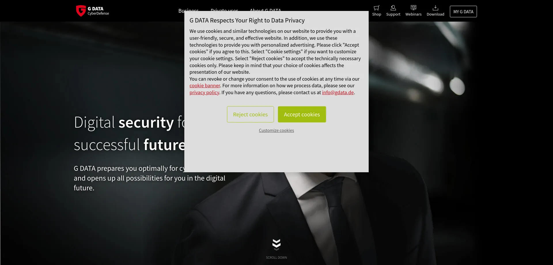 Website screenshot of Gdatasoftware.com