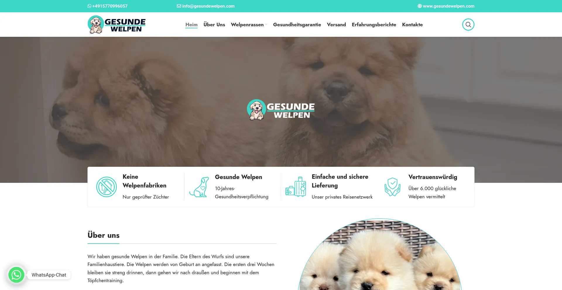 Gesundewelpen.com est-il Sûr et Fiable ?