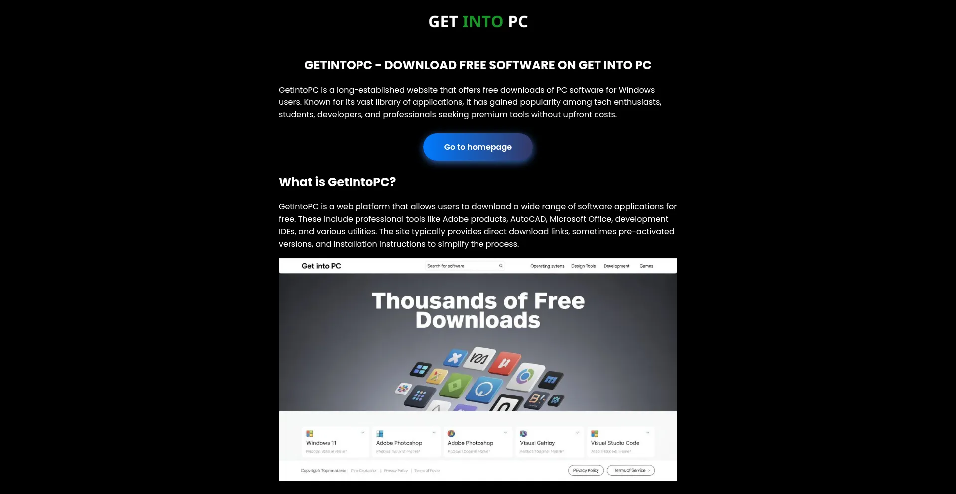 Website screenshot of Getintopc.team