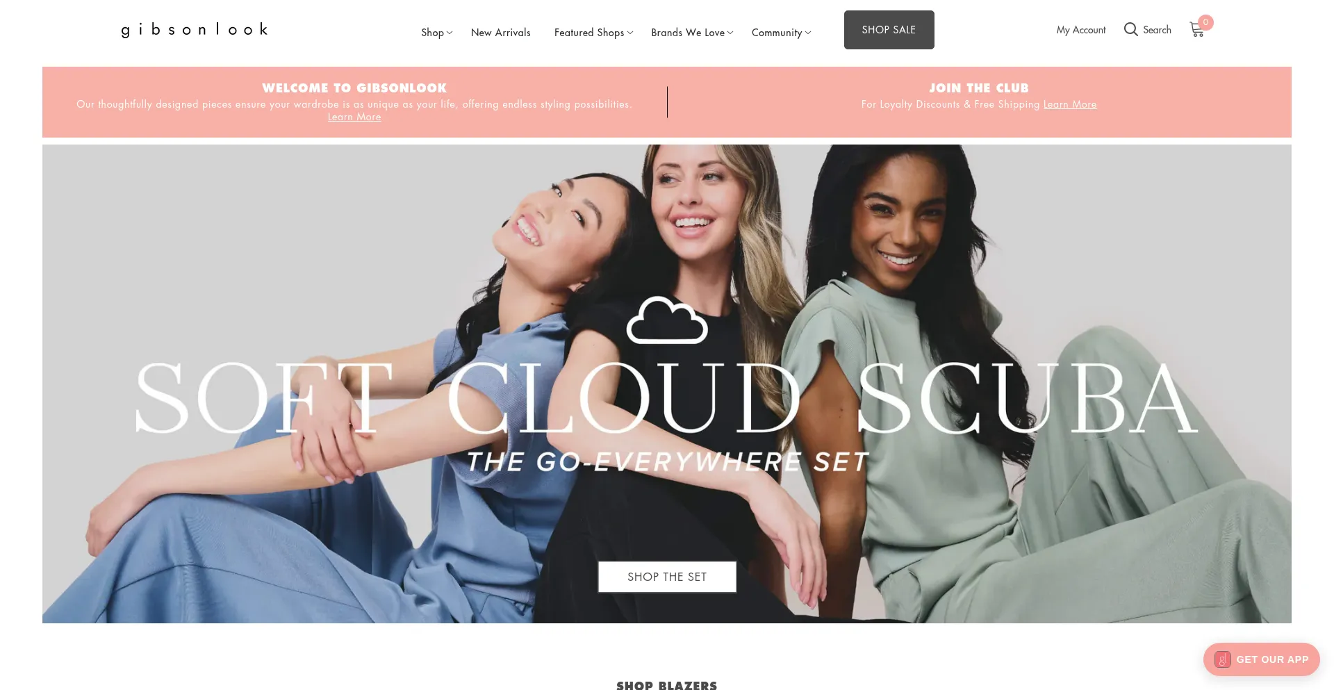 Website screenshot of Gibsonlook.com