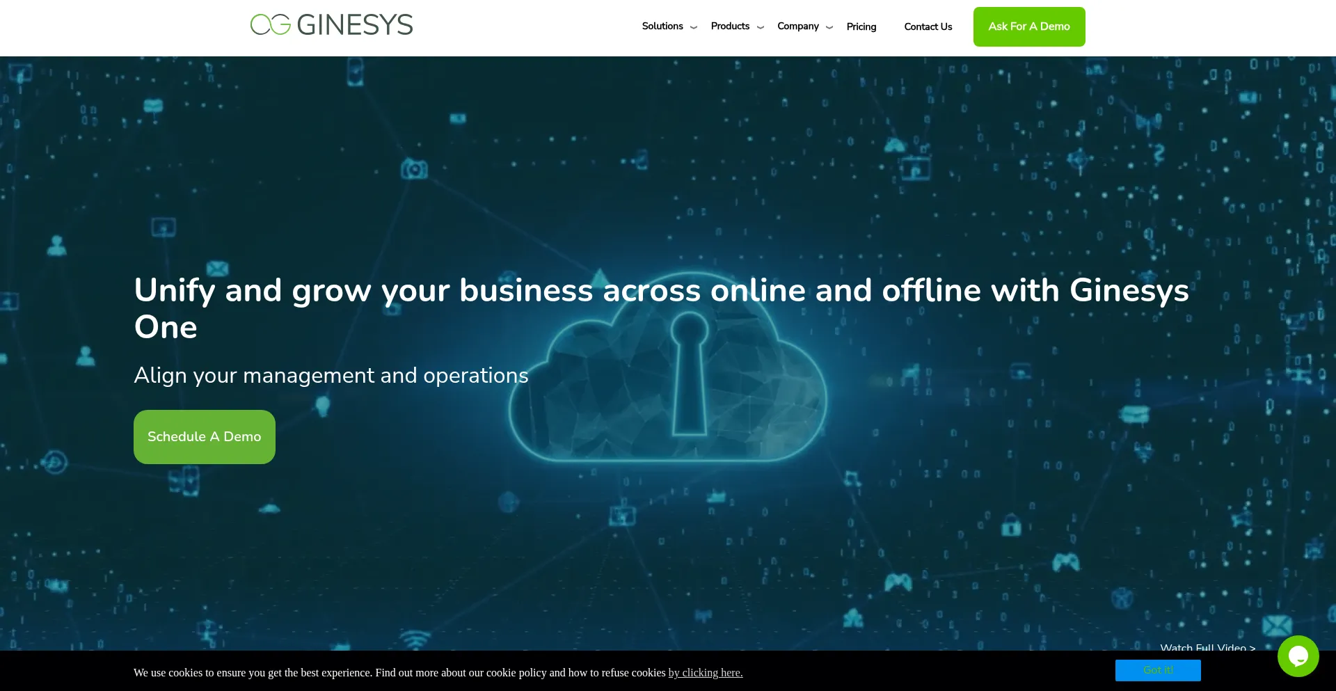 Website screenshot of Ginesys.in