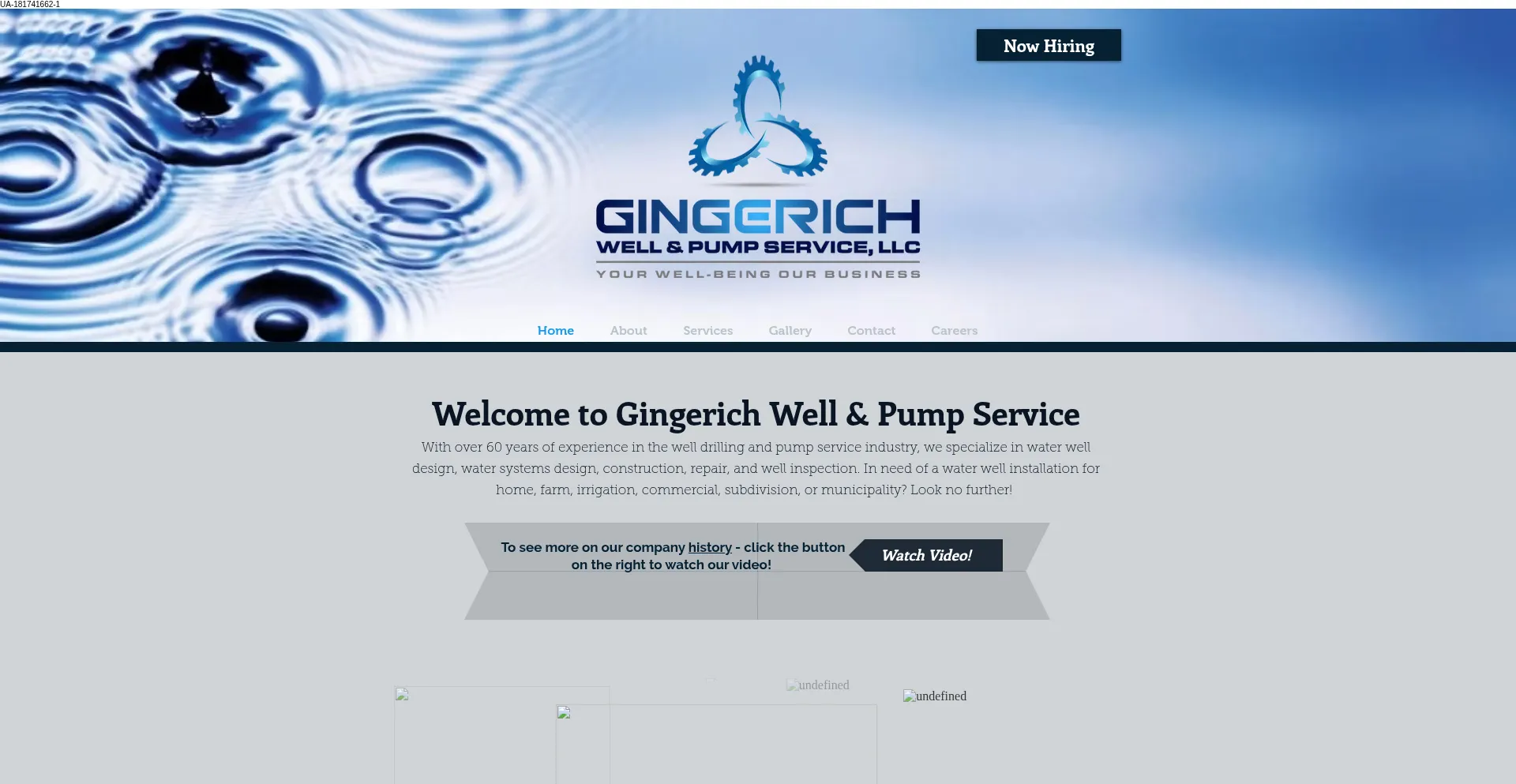 Gingerichwellia.com