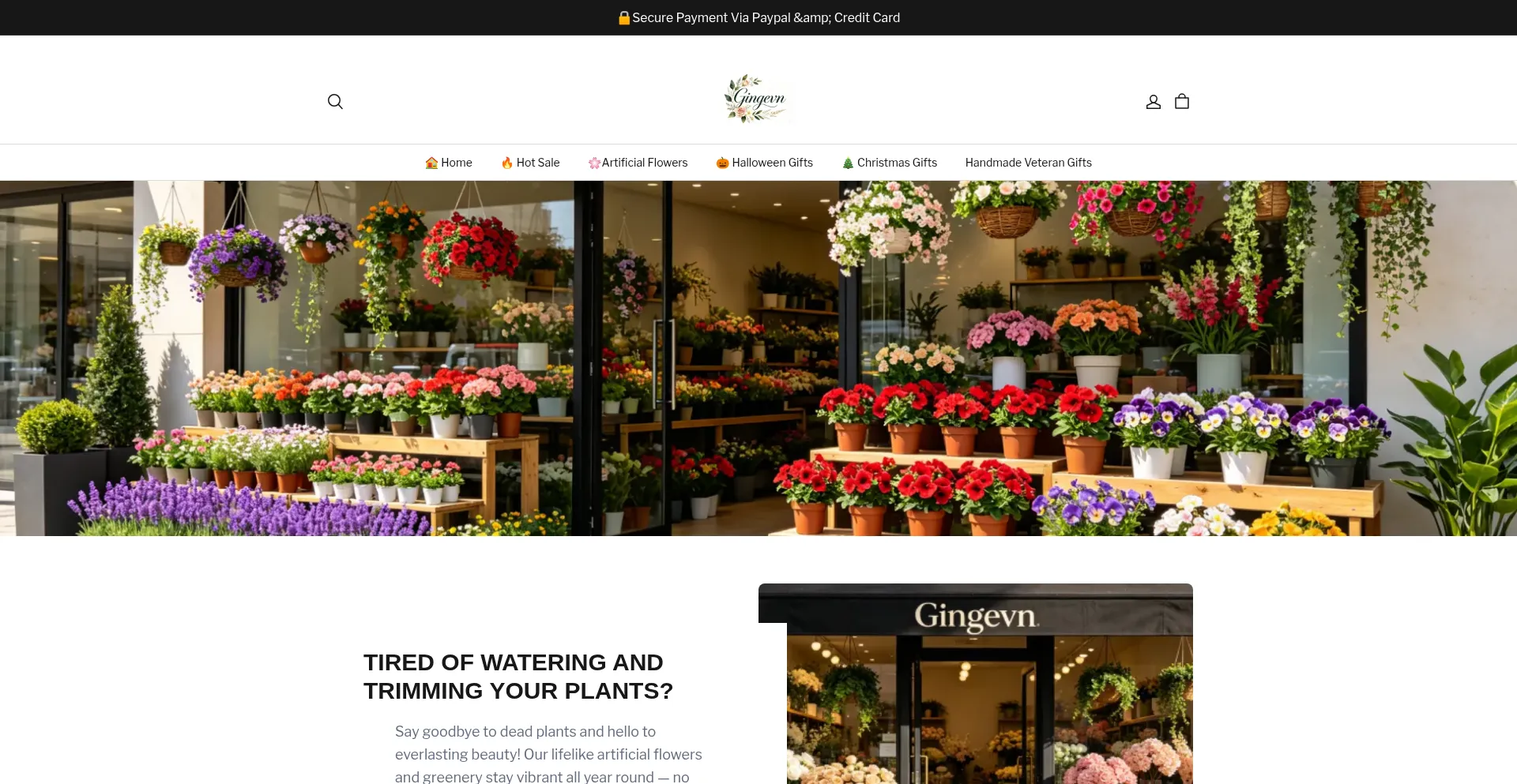 Gingevn.com