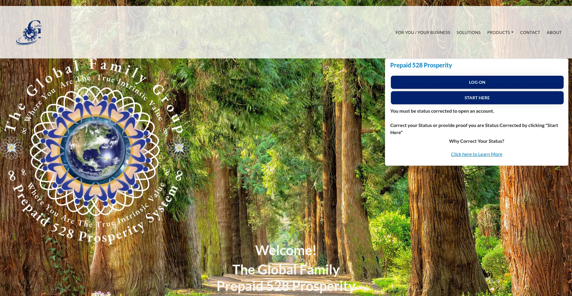 Website screenshot of Global528.com