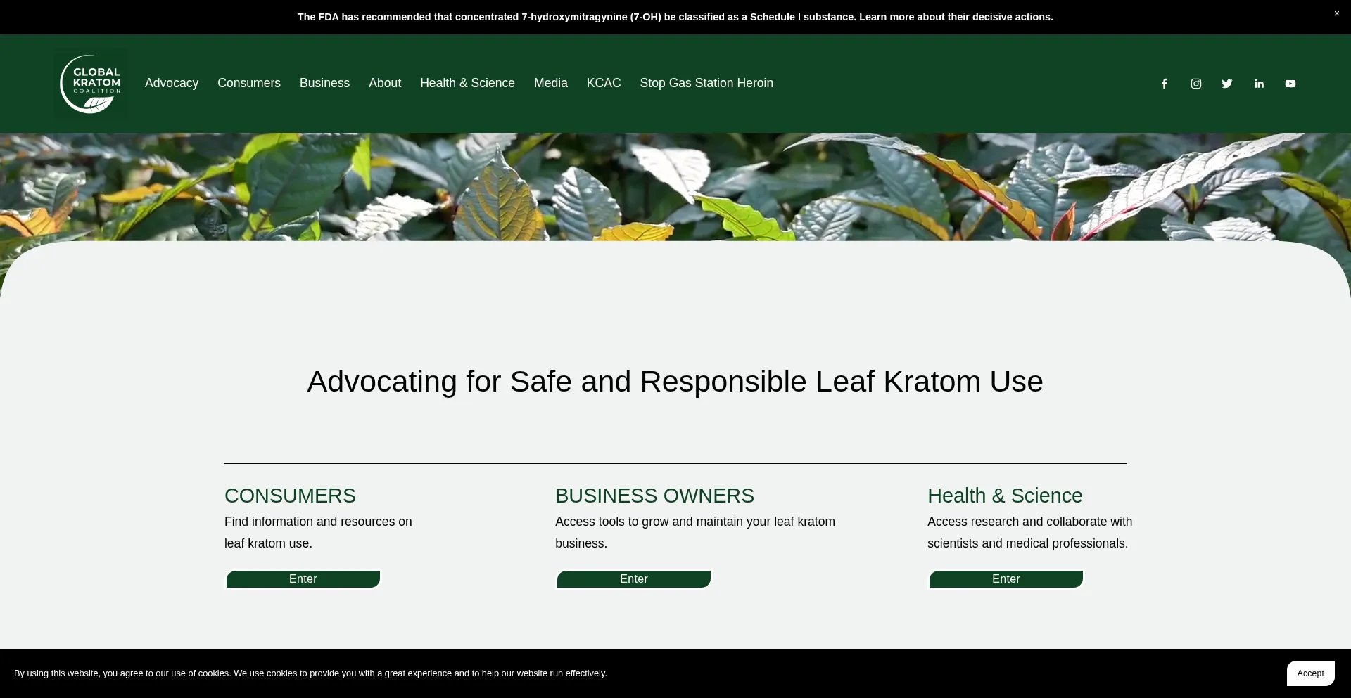 Globalkratomcoalition.org