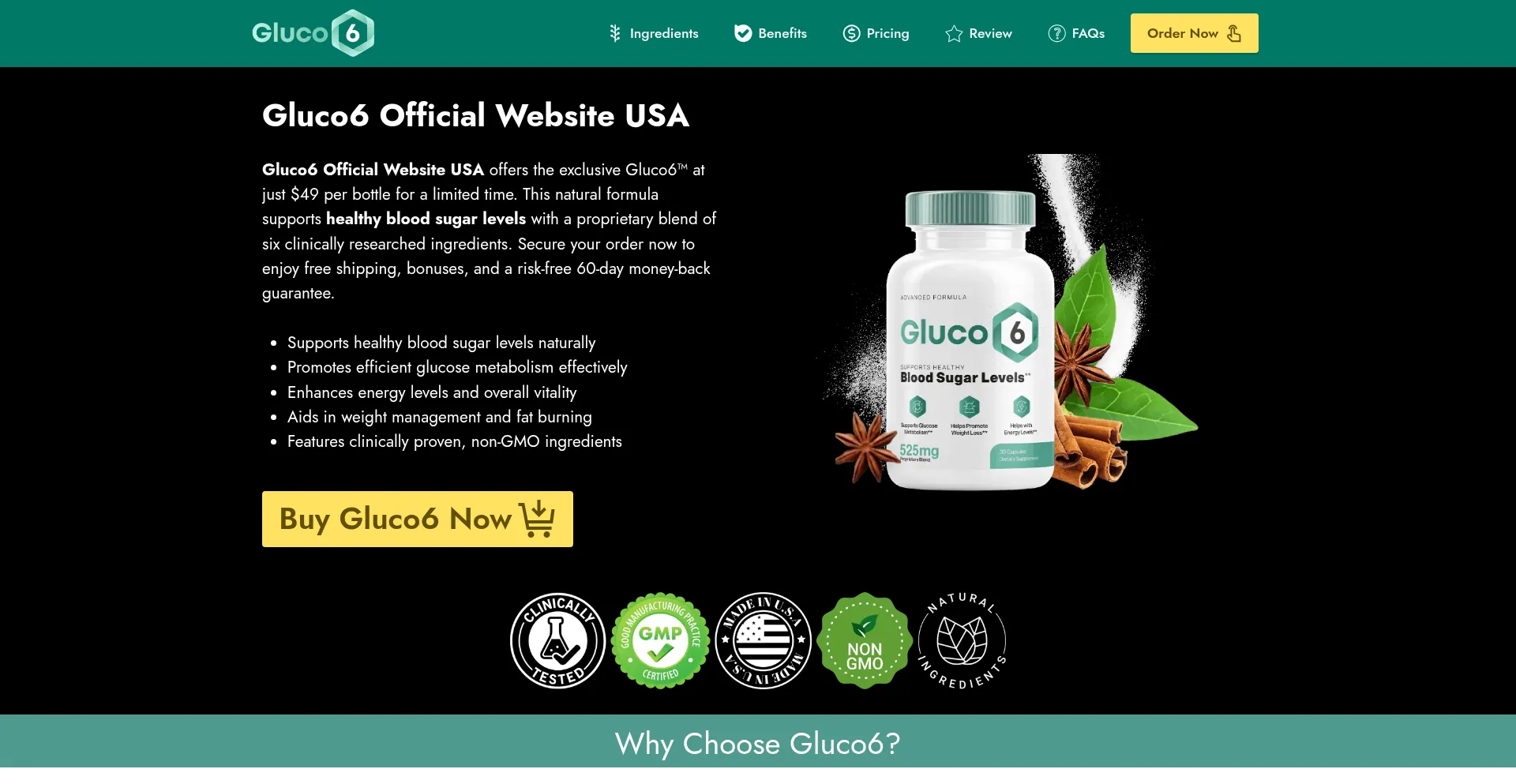 Website screenshot of Gluco6--com.com