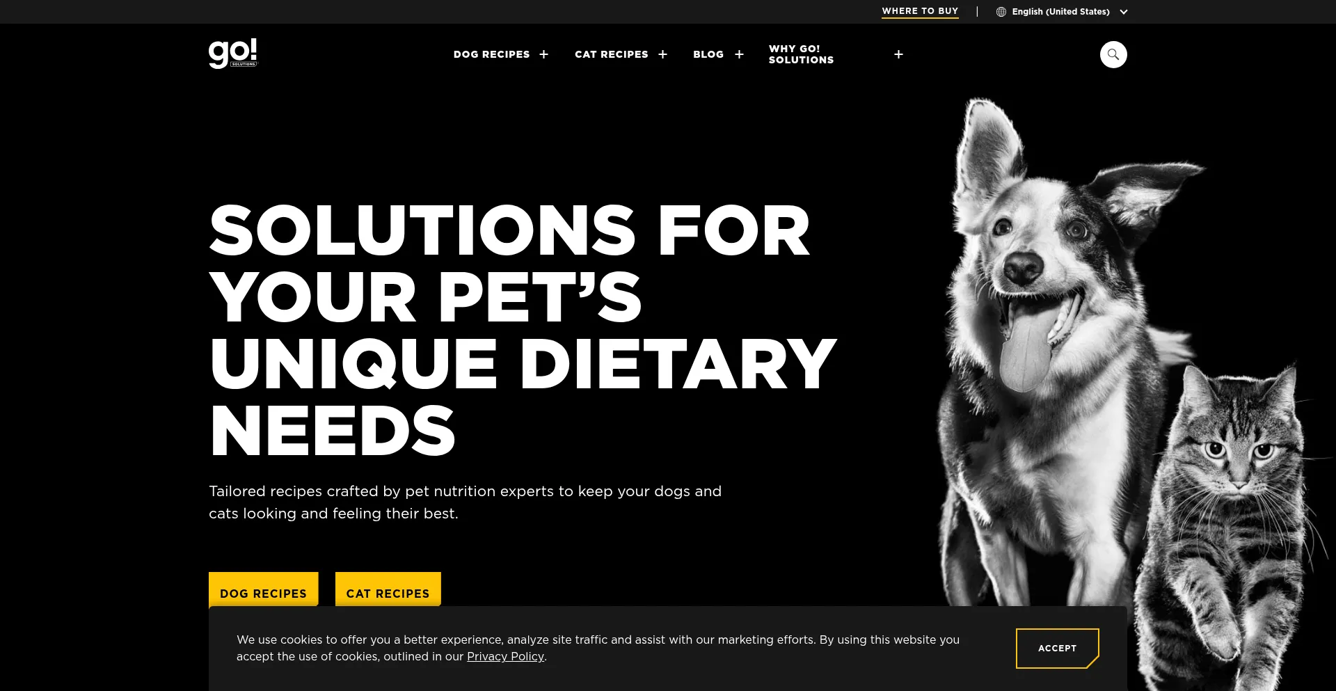 Website screenshot of Go-solutions.com