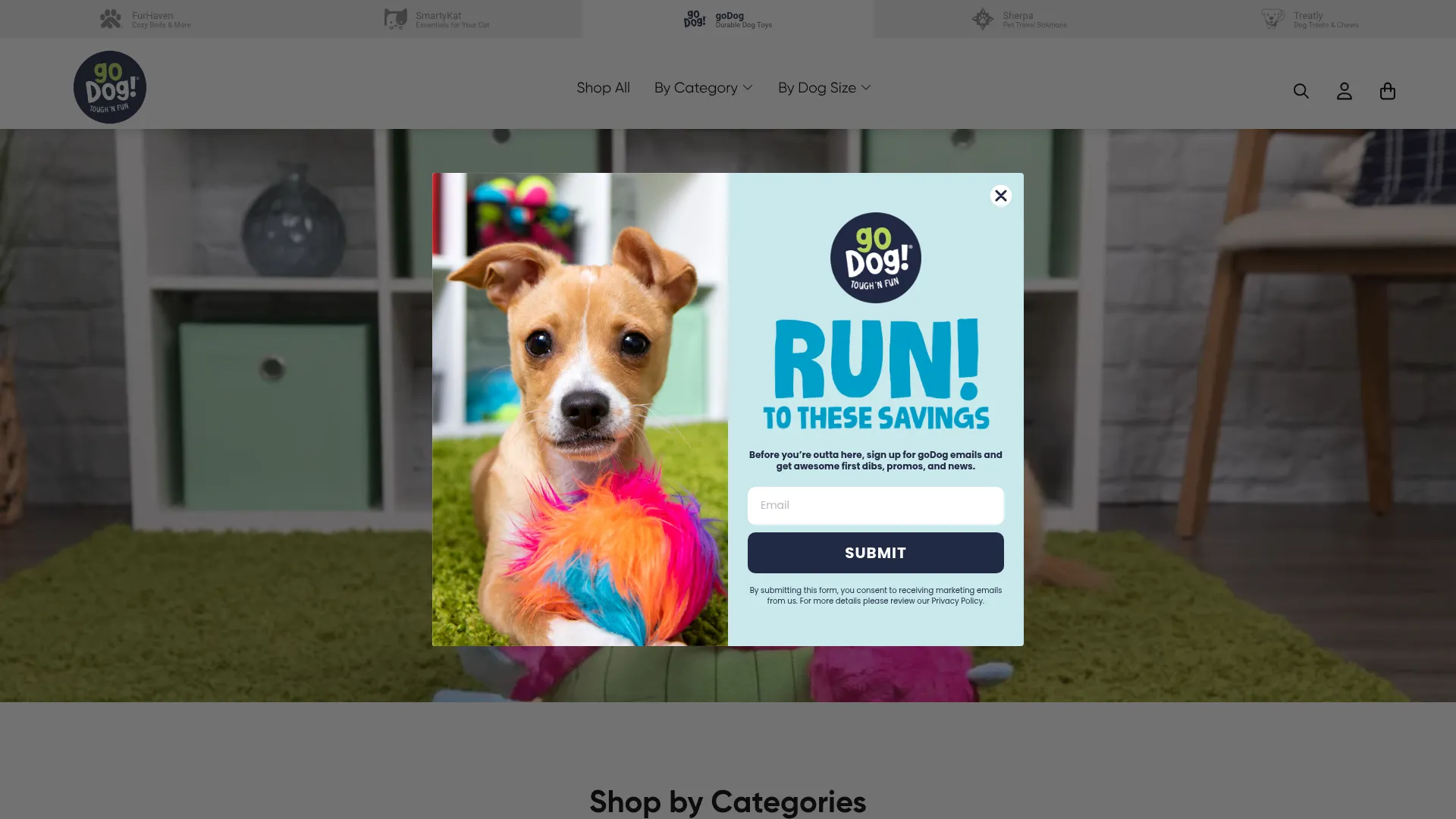 Godogfun.com
