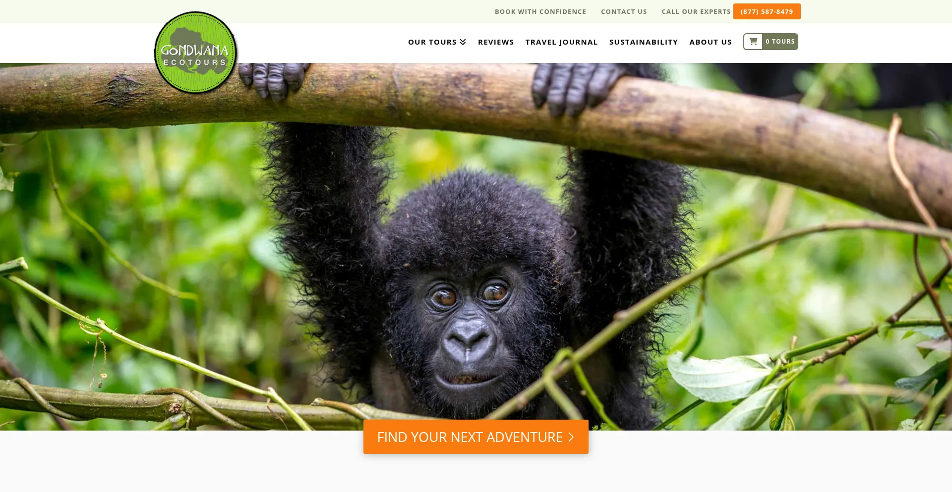 Gondwanaecotours.com