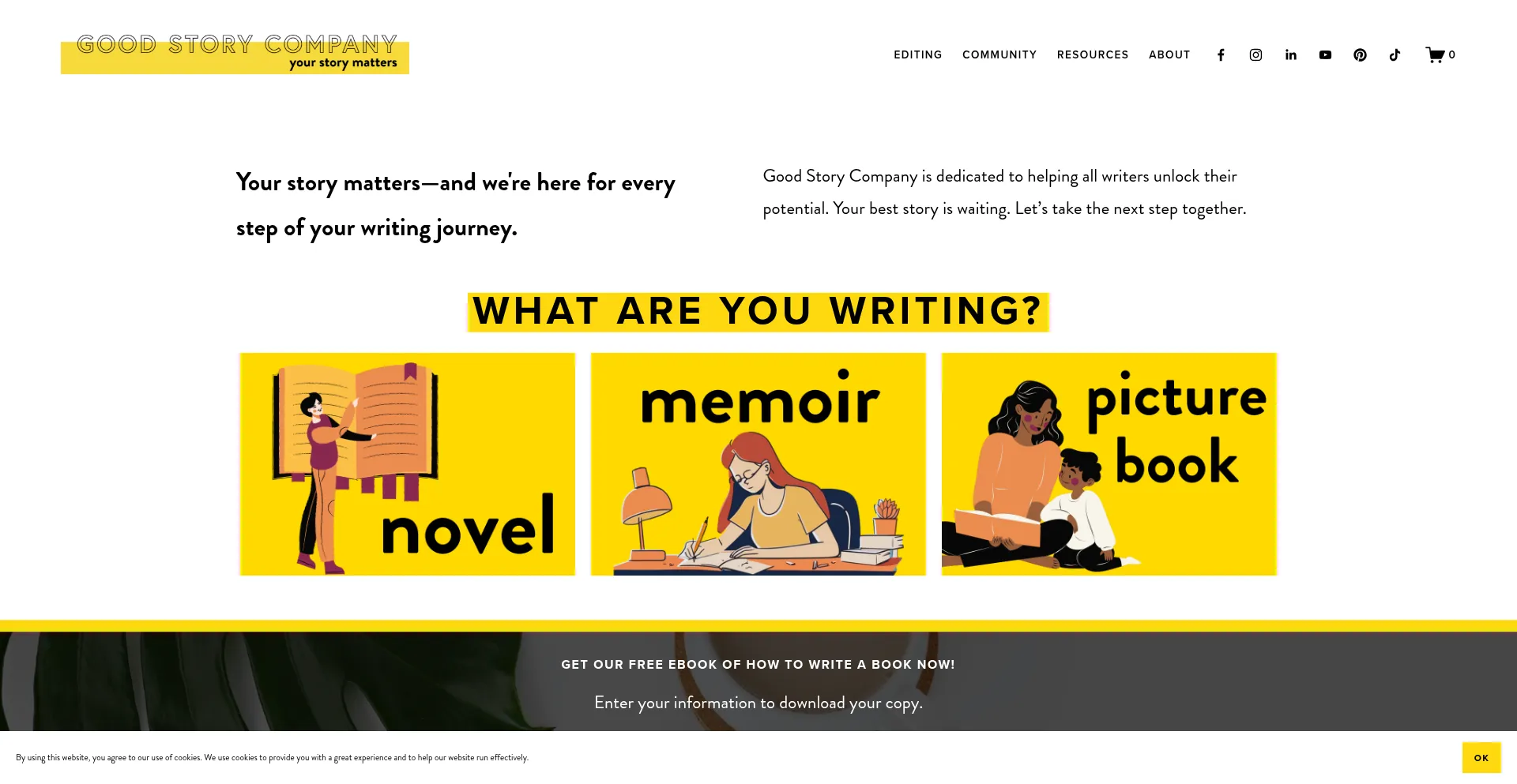 Website screenshot of Goodstorycompany.com