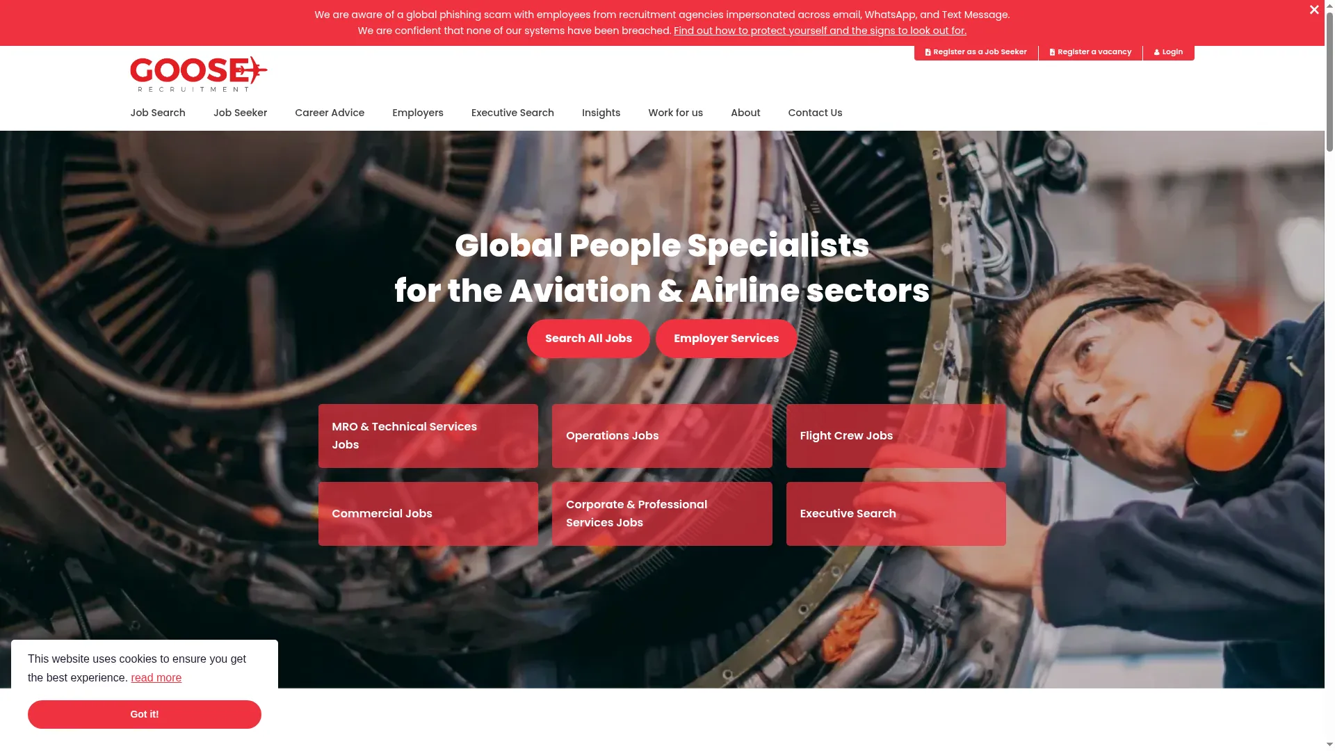 Goose-recruitment.com