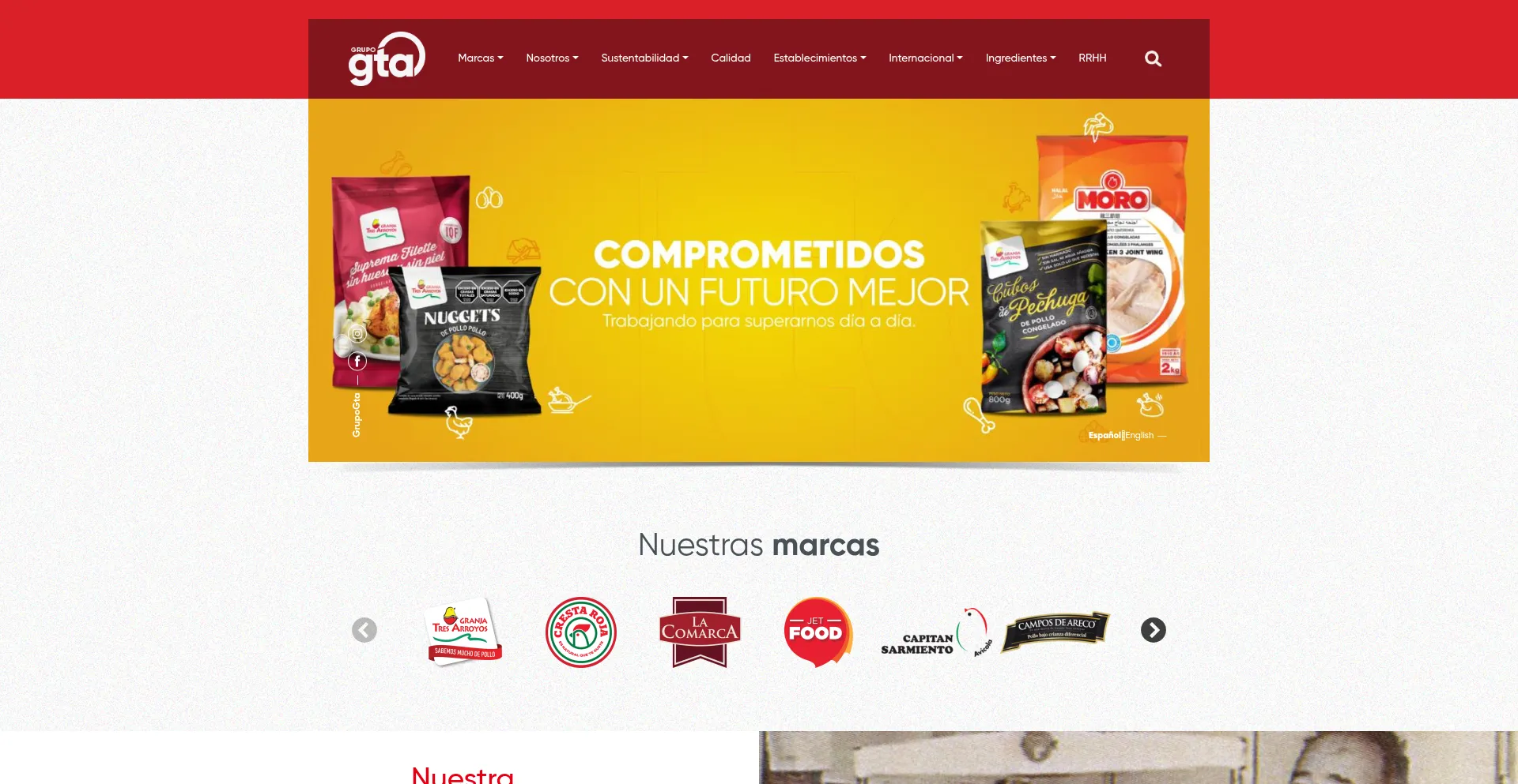Website screenshot of Grupogta.com.ar