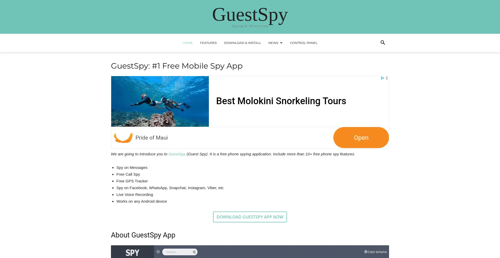 Website screenshot of Guestspy.com
