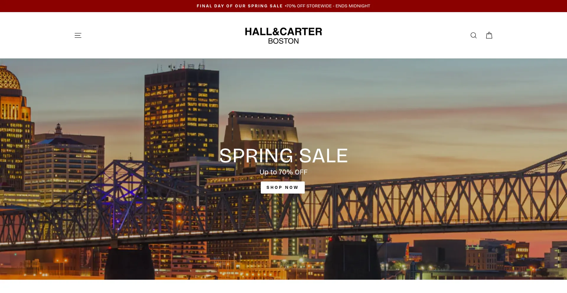 Website screenshot of Hallandcarter.com
