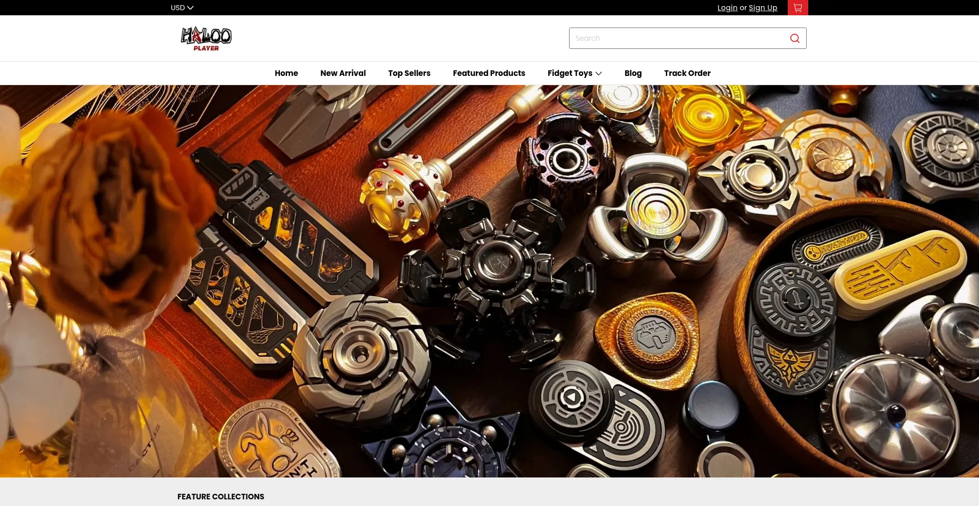 Website screenshot of Halooplayer.com