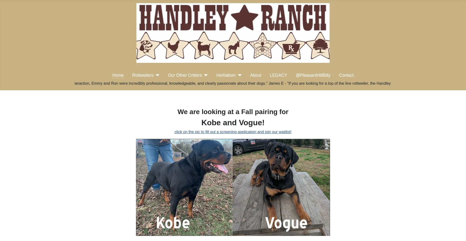 Handleyranch.com