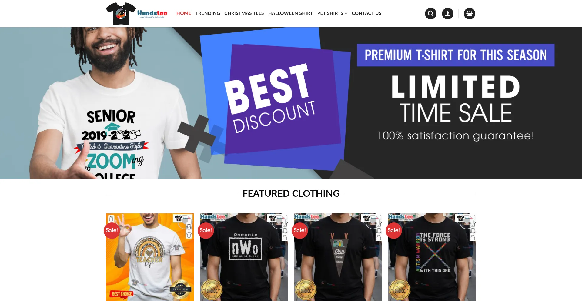 Website screenshot of Handstee.com
