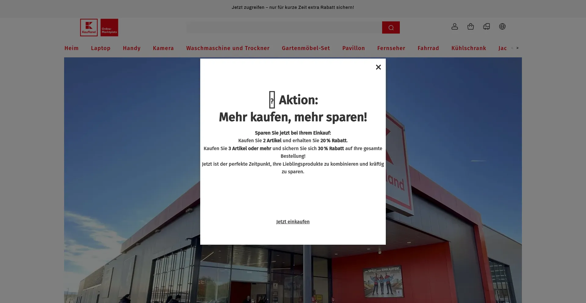 Website screenshot of Haushxv.okologischrb.mom