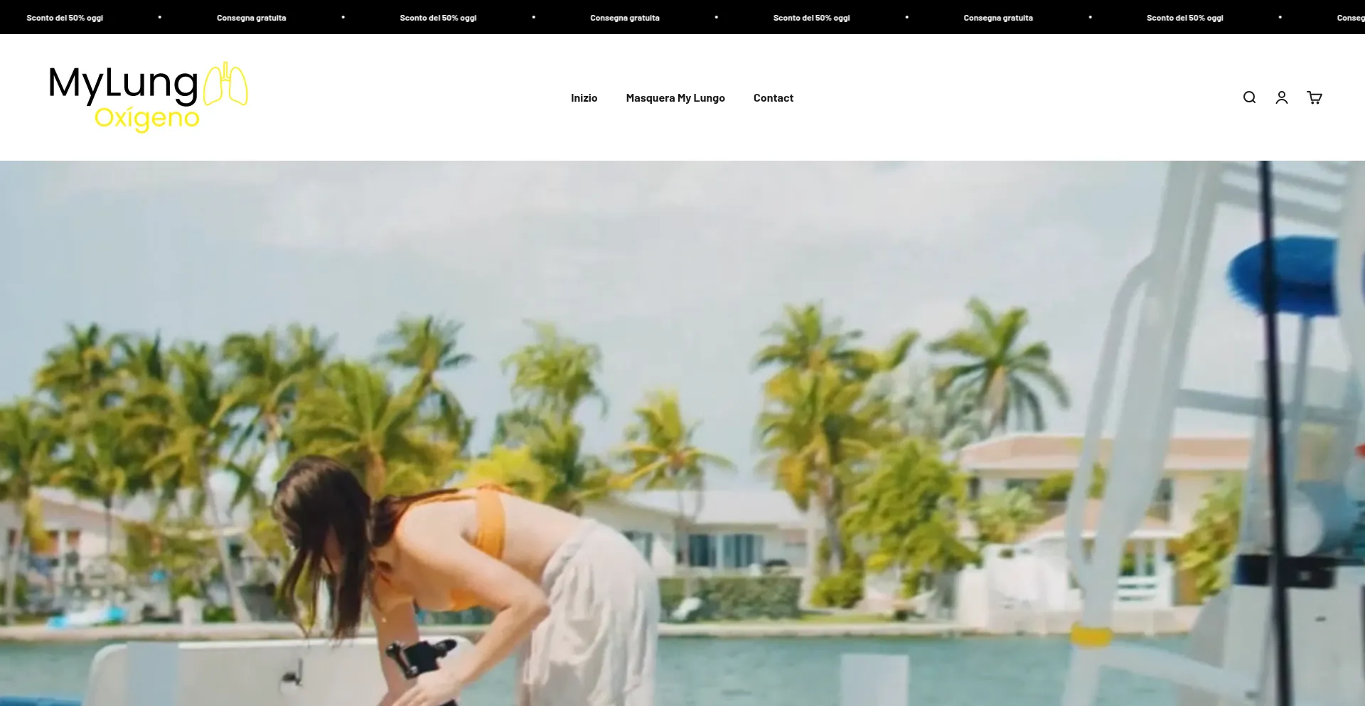 Website screenshot of Hemera-it.com