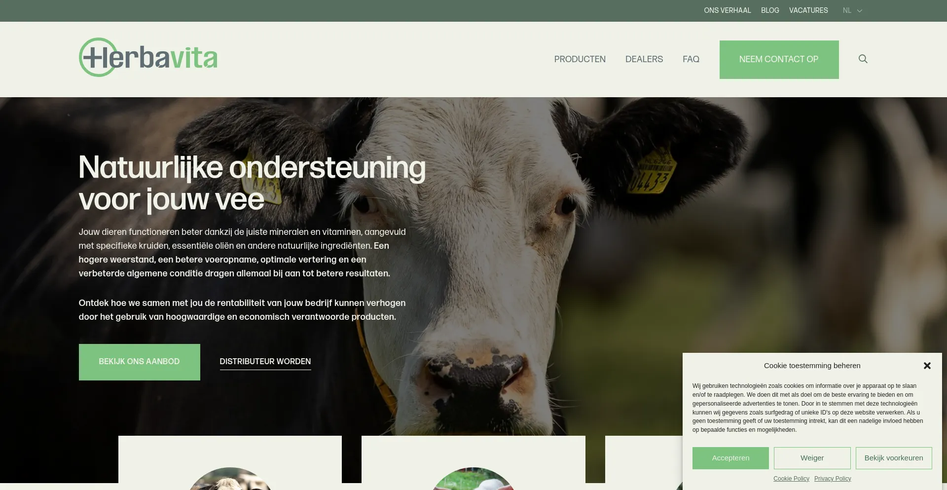 Website screenshot of Herbavita.com