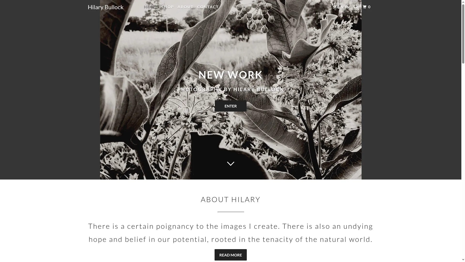 Hilarybullock.com
