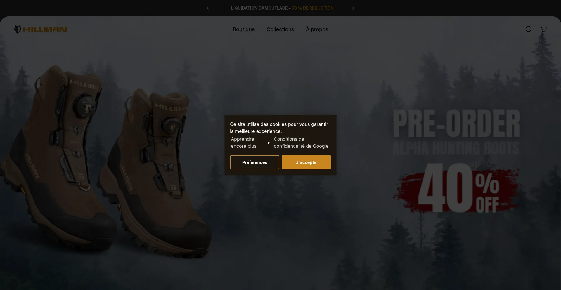 Website screenshot of Hillmanchasse.com