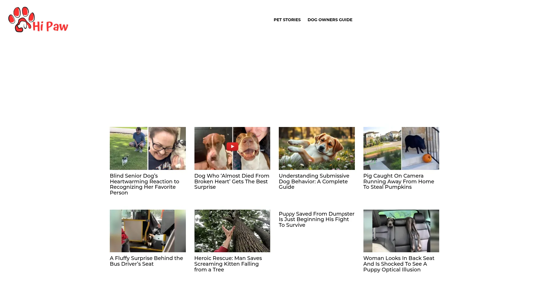 Hipaw.net est-il Sûr et Fiable ?