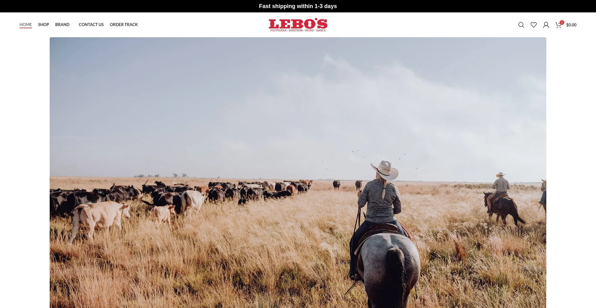 Website screenshot of Holalebos.shop