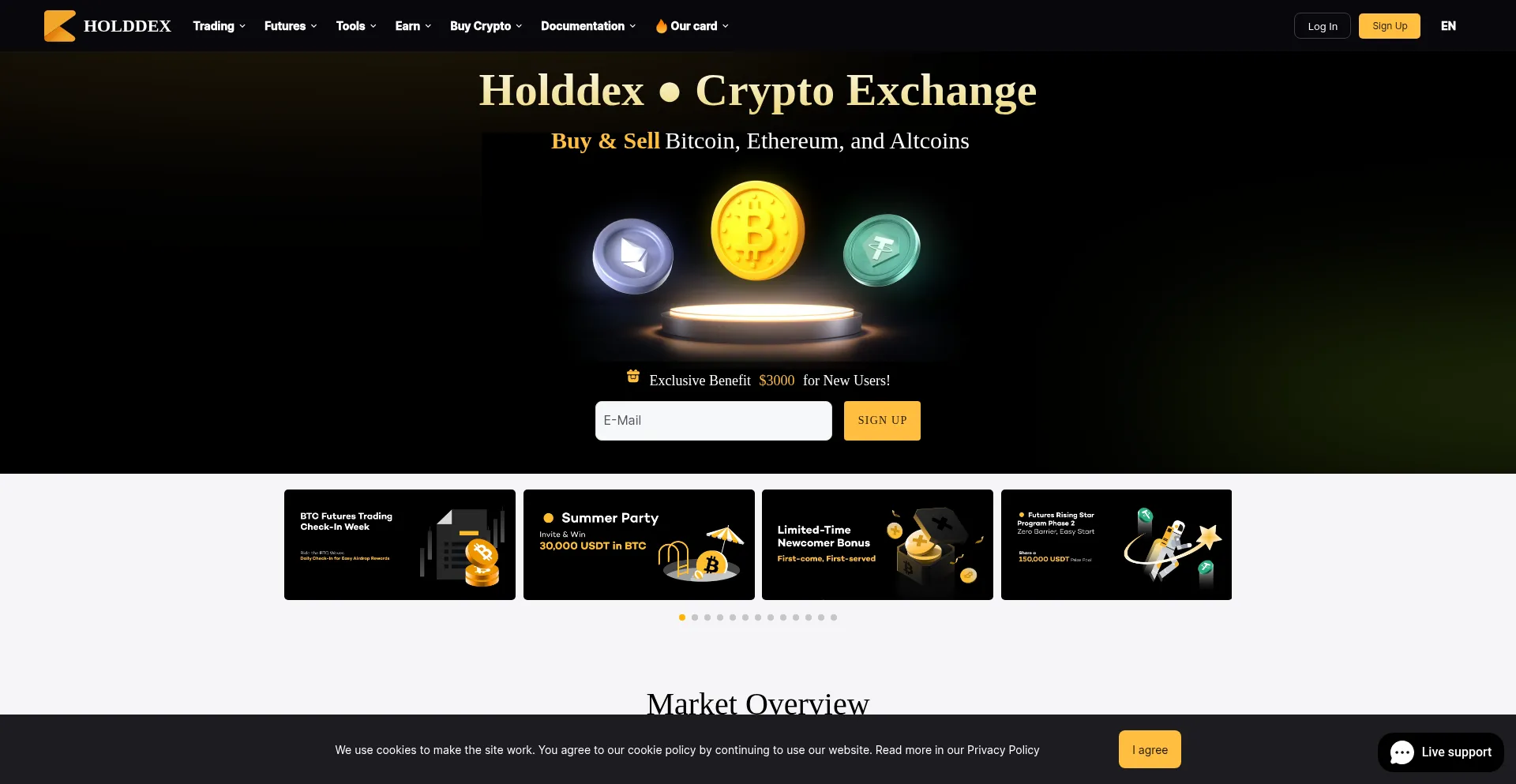 Holddex.icu est-il Sûr et Fiable ?