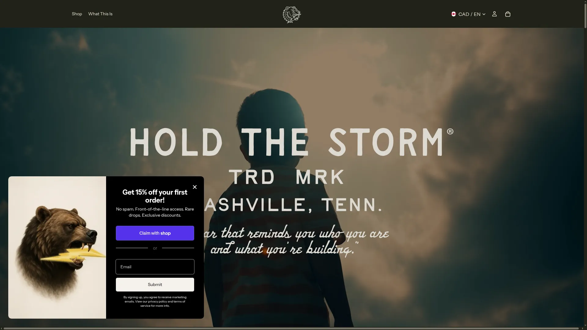Holdthestorm.com