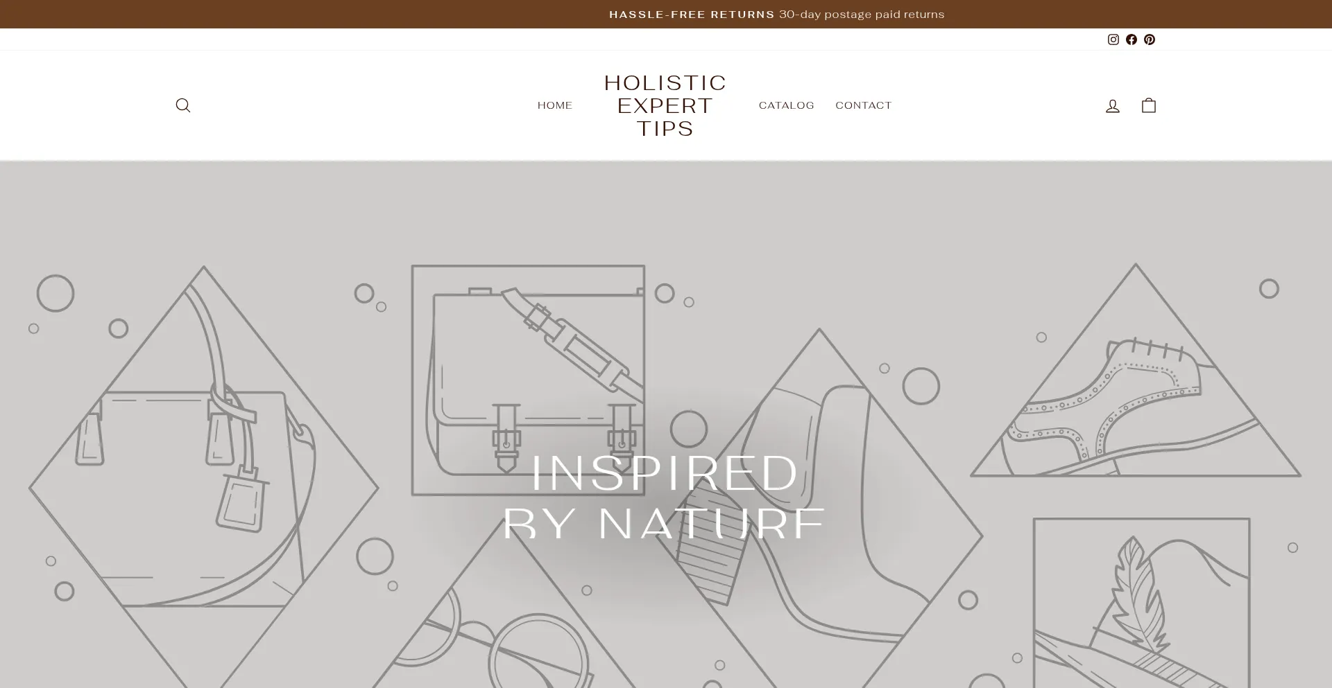 Holisticexpert-tips.com