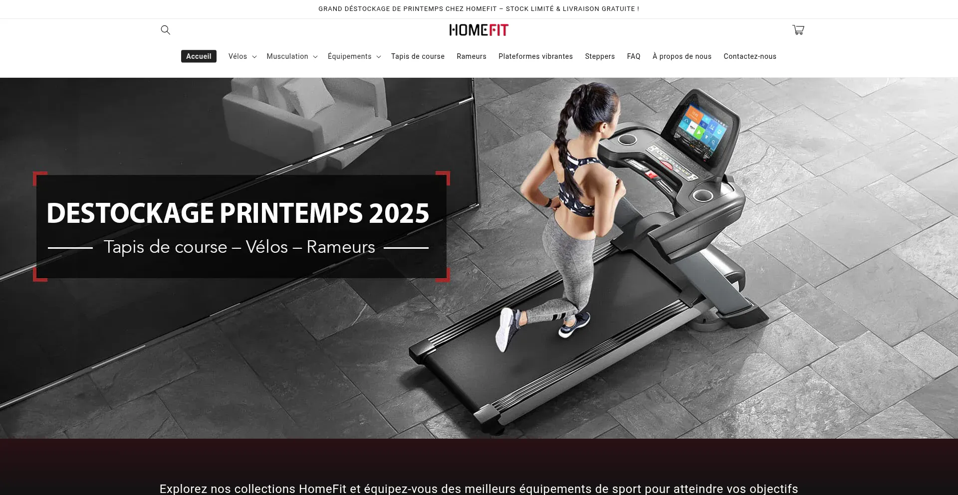 Website screenshot of Homefit-fr.com