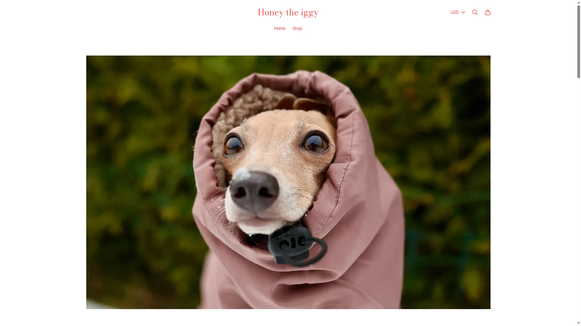 Honeytheiggy.com