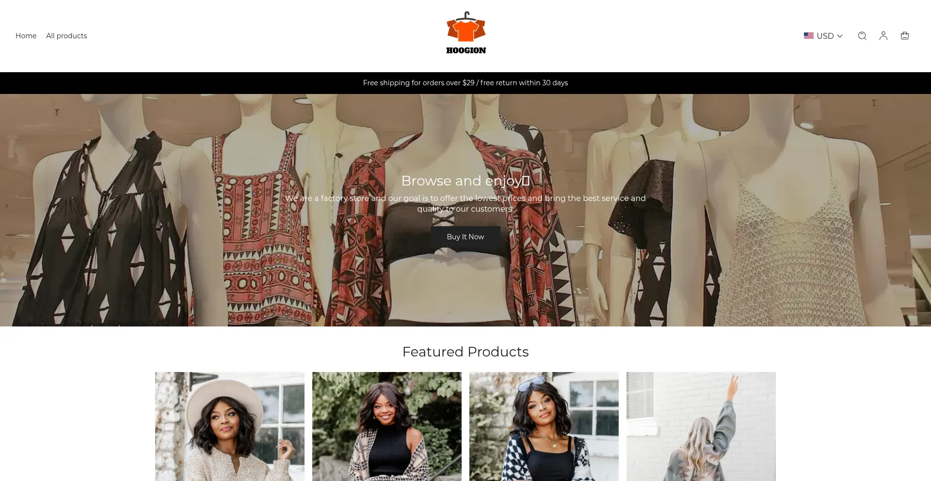 Website screenshot of Hoogion.com