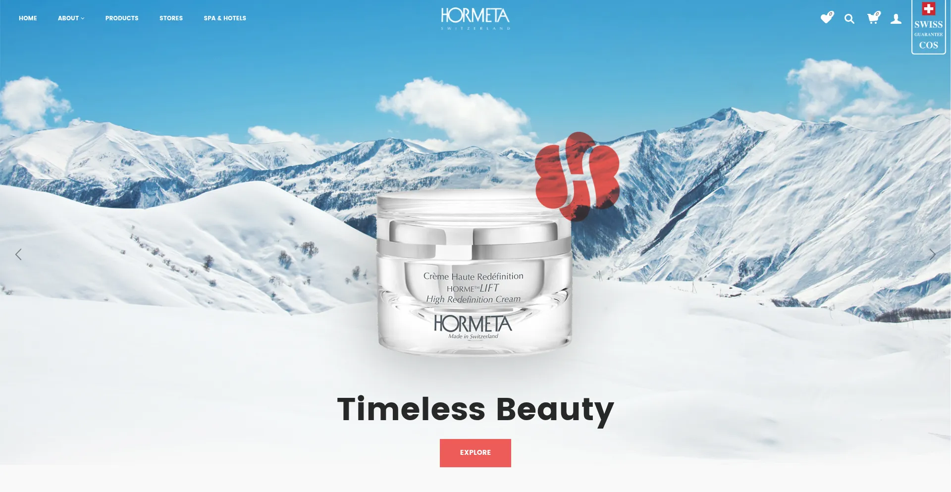 Website screenshot of Hormeta-usa.com