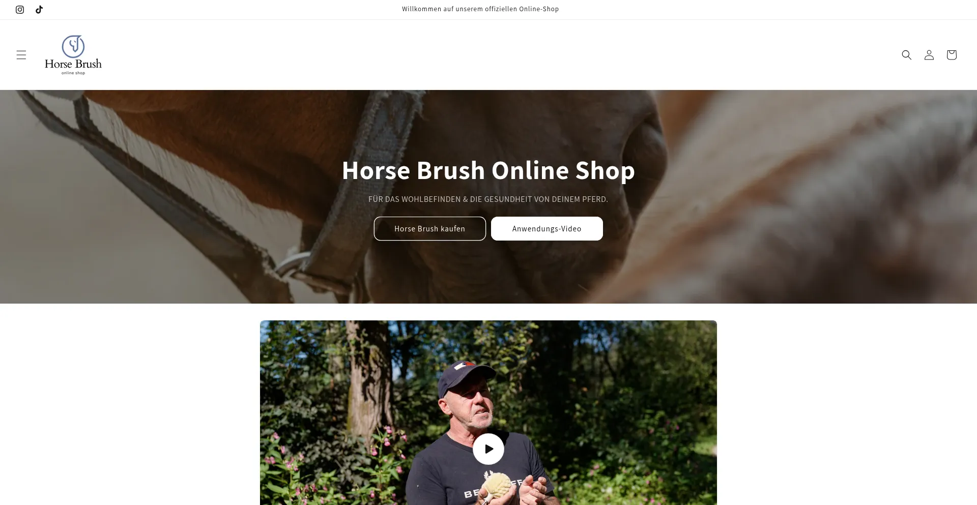 Website screenshot of Horse-brush.de