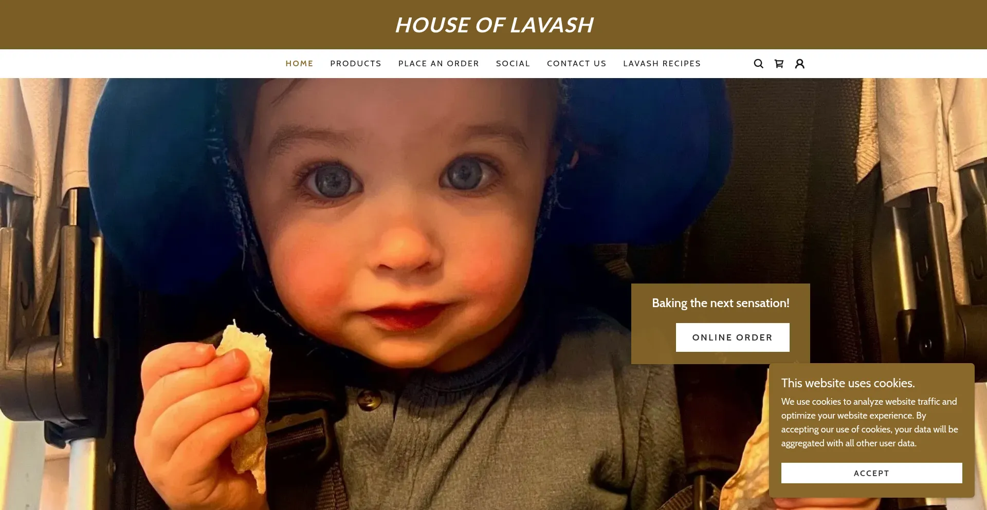 Website screenshot of Houseoflavashboston.com