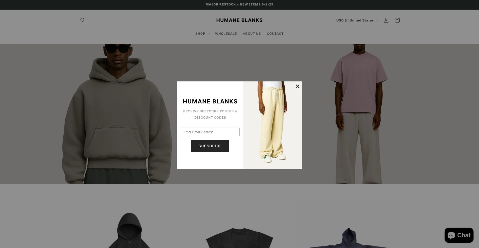 Website screenshot of Humaneblanks.com