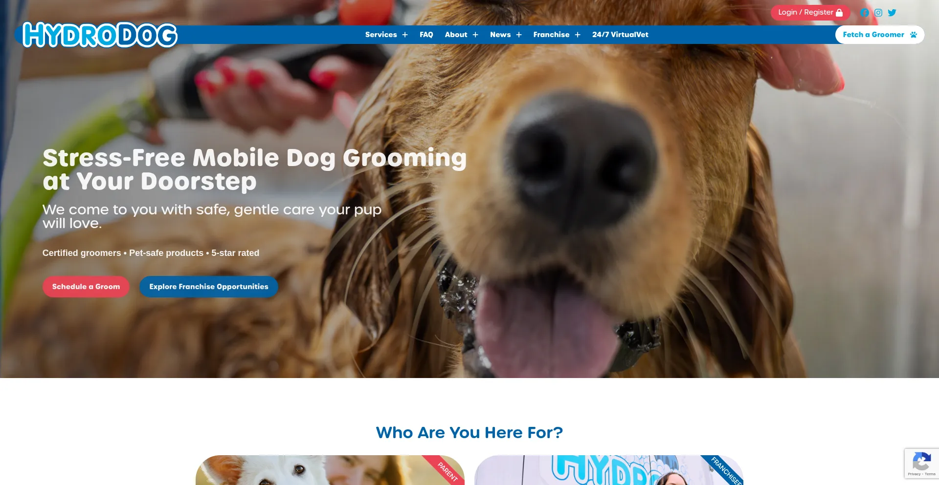 Website screenshot of Hydrodog.com