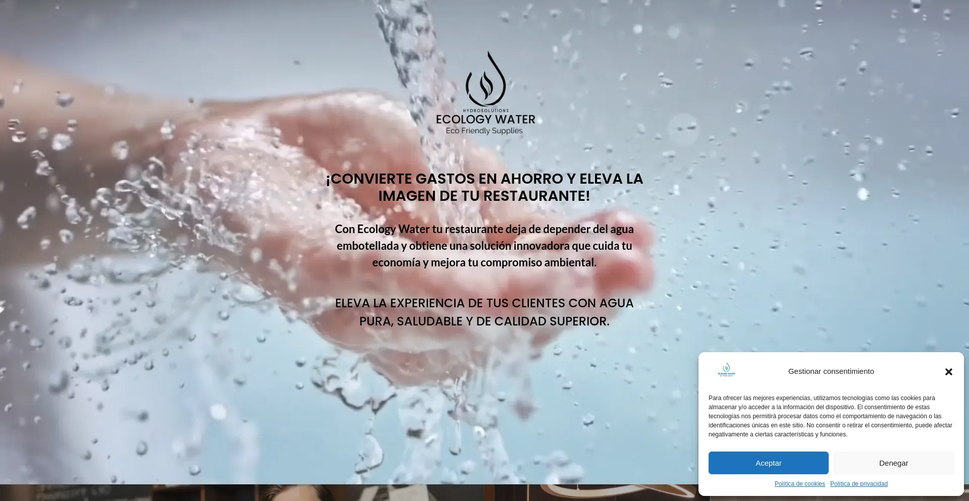Website screenshot of Hydrosolutions.es