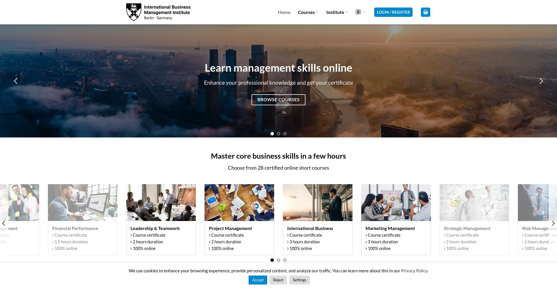 Ibm-institute.com Screenshot
