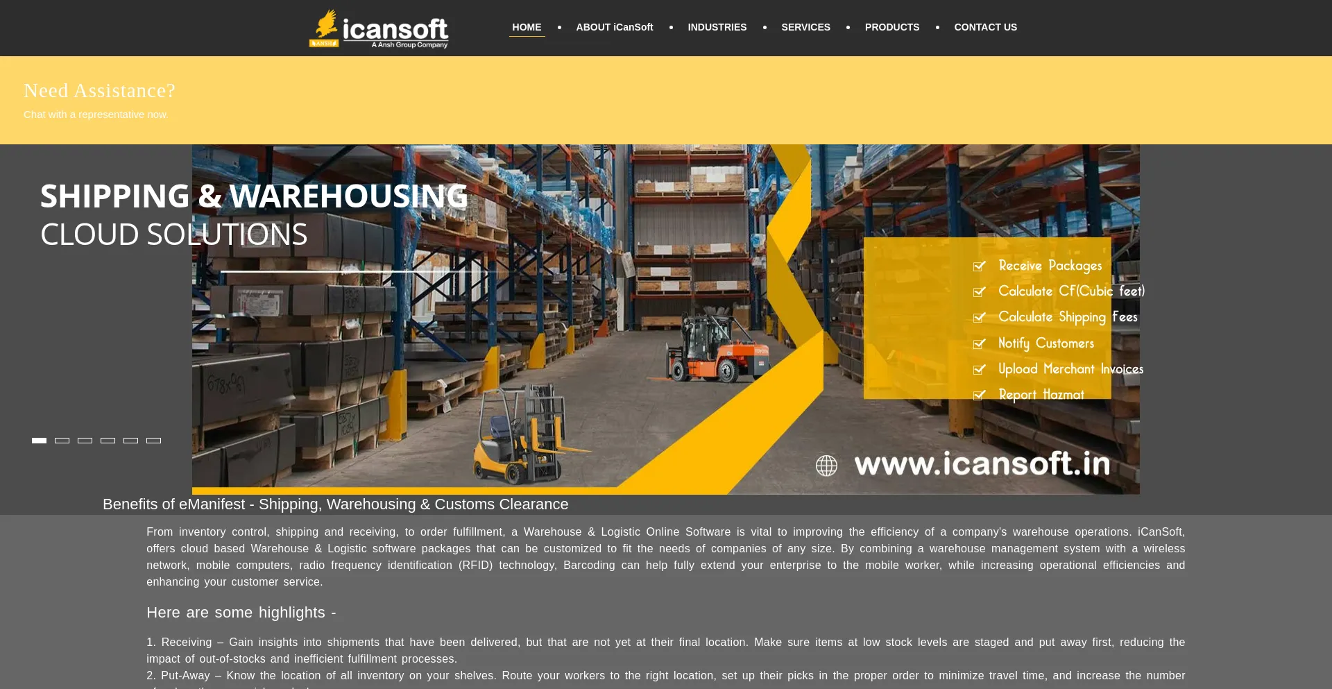 Website screenshot of Icansoft.in