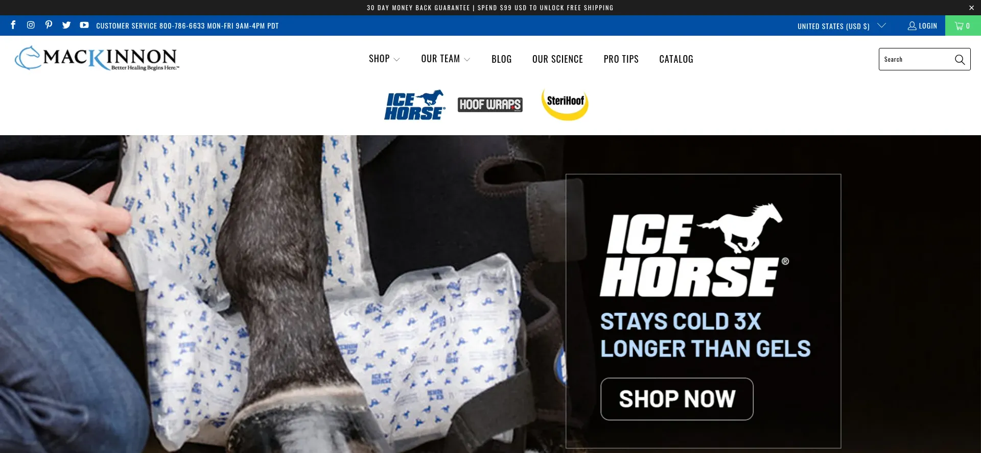 Icehorse.net