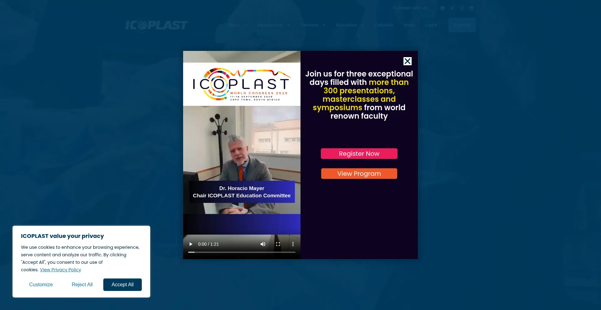 Website screenshot of Icoplast.org