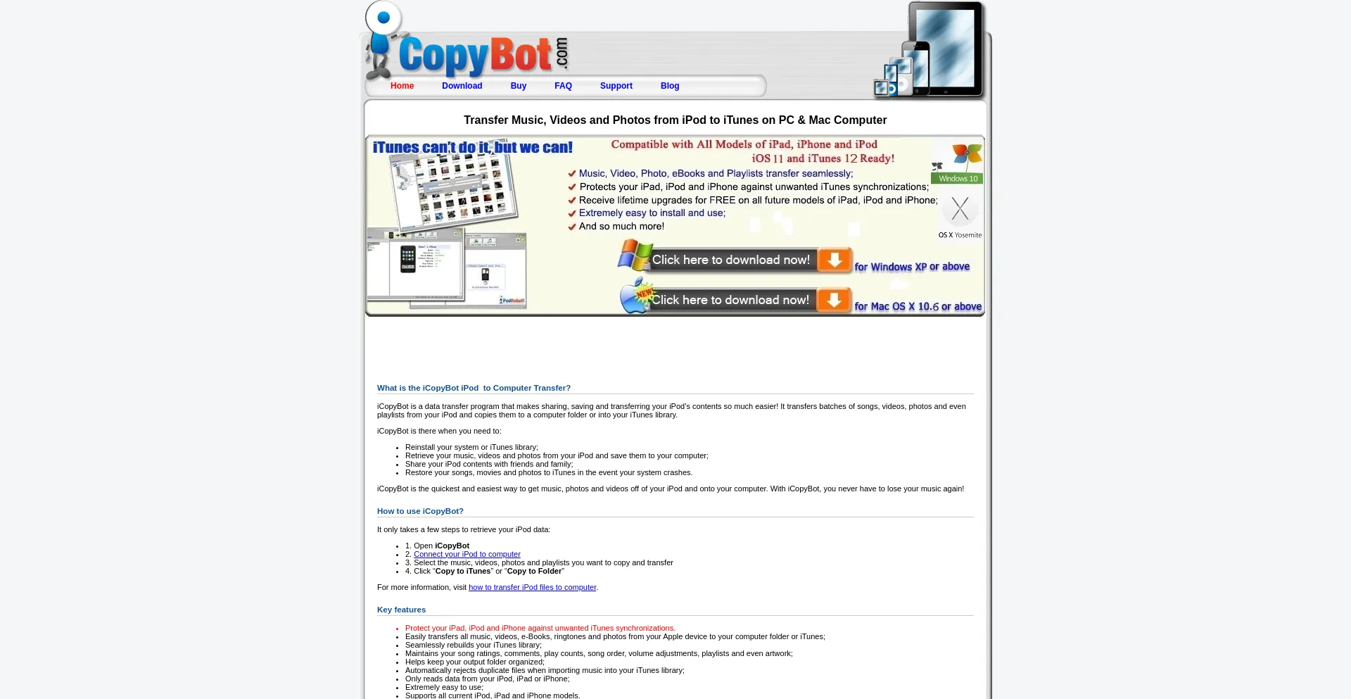 Website screenshot of Icopybot.com